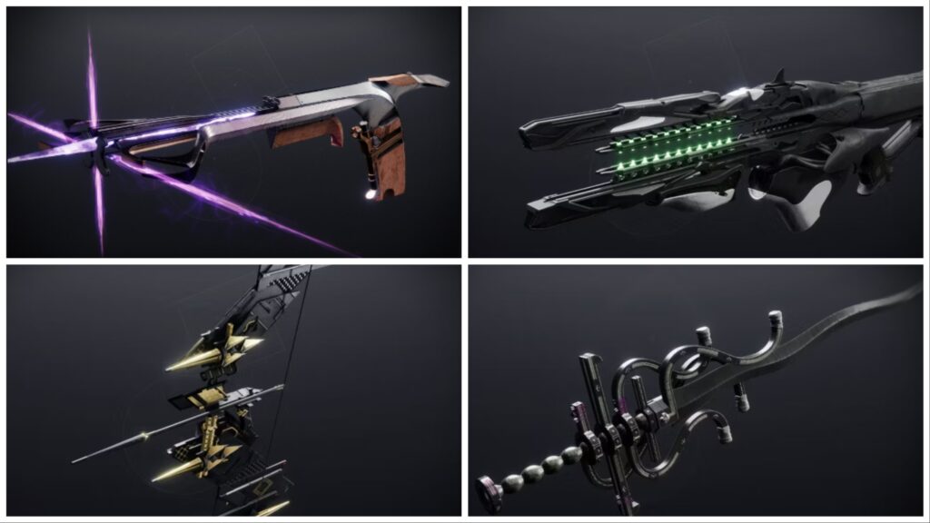 Dungeon Exotic Bundle