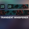 Transient Whisperer - Destiny 2