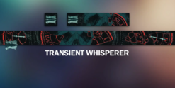 Transient Whisperer - Destiny 2