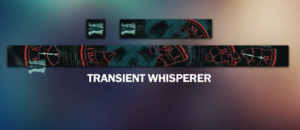 Transient Whisperer - Destiny 2